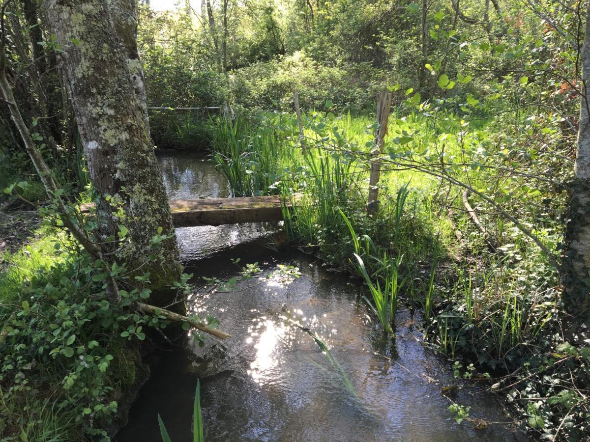 Romantic Mill Cottage 30 Min From Bergerac France Sourzac المظهر الخارجي الصورة